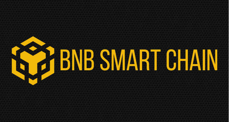  Logo de Binance Smart Chain