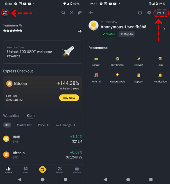 Binance app Lite and Pro modes
