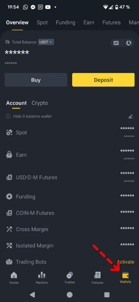 Wallet tab: total account balance