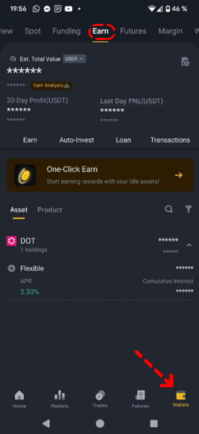 Earn Wallet: access to Binance investment products