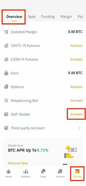 Binance DeFi Wallet Overview interface