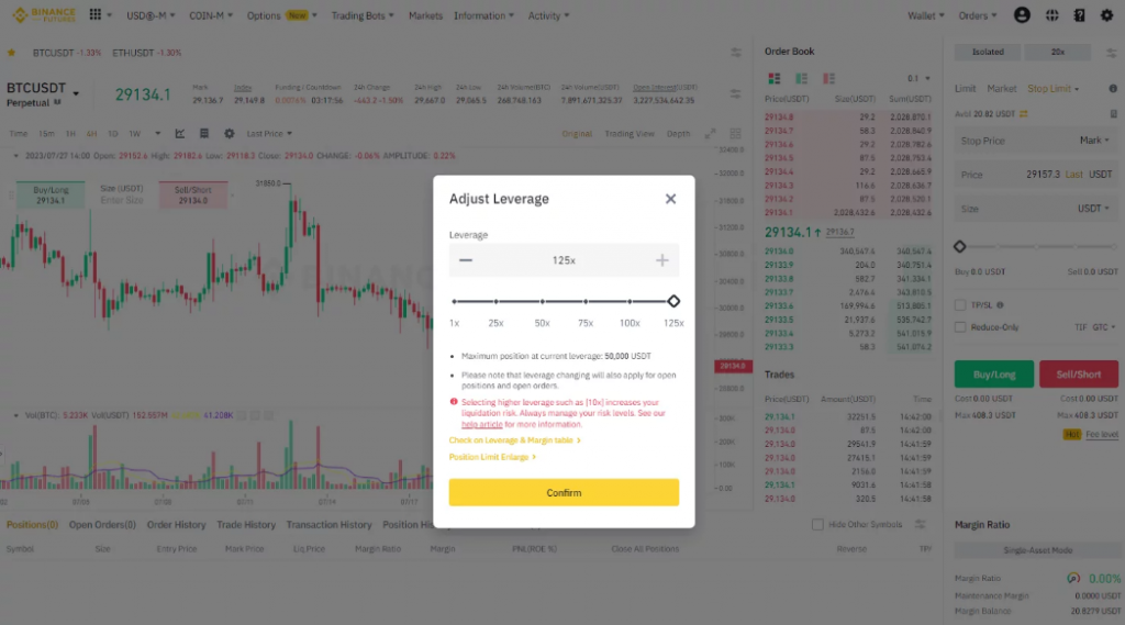 Leverage in Binance Futures Market