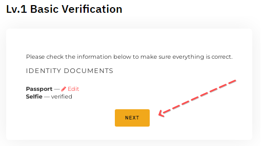 kyc, how to pass kyc, passing kyc, what is kyc, levels bybit verification, kyc verification, kyc bybit, bybit verification, how to pass verification on the bybit exchange
