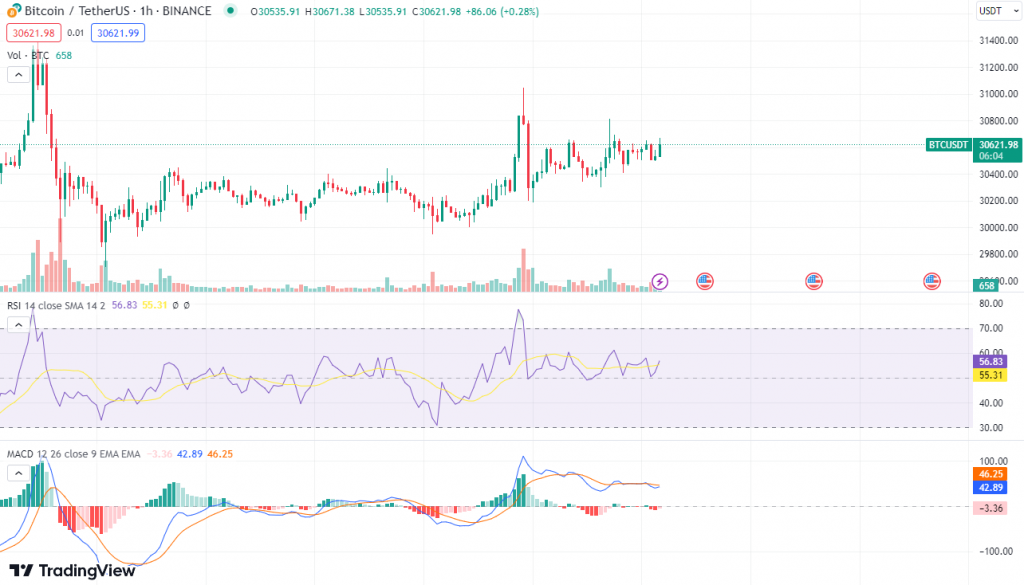 RSI and MACD oscillators are shown on the BTC USDT graph used for crypto technical analysis