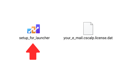 Installation file setup_fsr_launcher and the CScalp license file