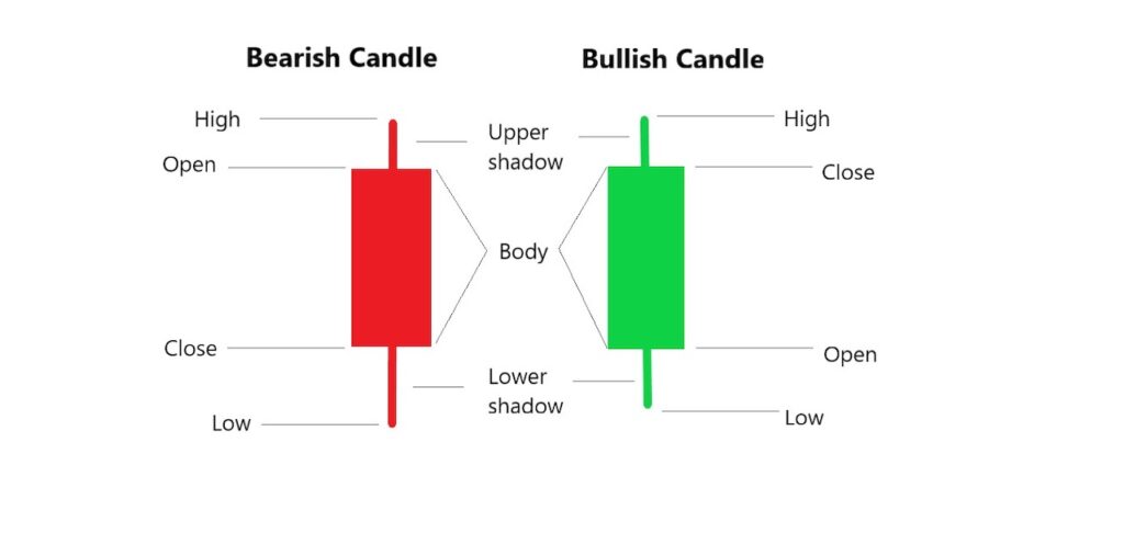Bullish and Bearish candles