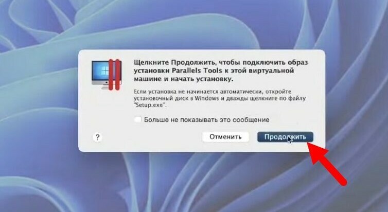 CScalp on MacOS, trading on MacOS, CScalp for MacOS