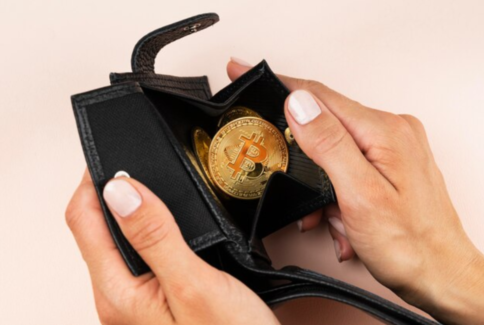 Bitcoin liquidity in Bitcoin trading: A person is holding a wallet with a Bitcoin token