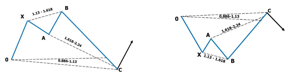 Patrón del tiburón Patrón del tiburón