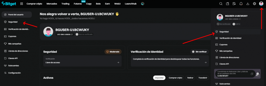 Ve a la sección "Seguridad"