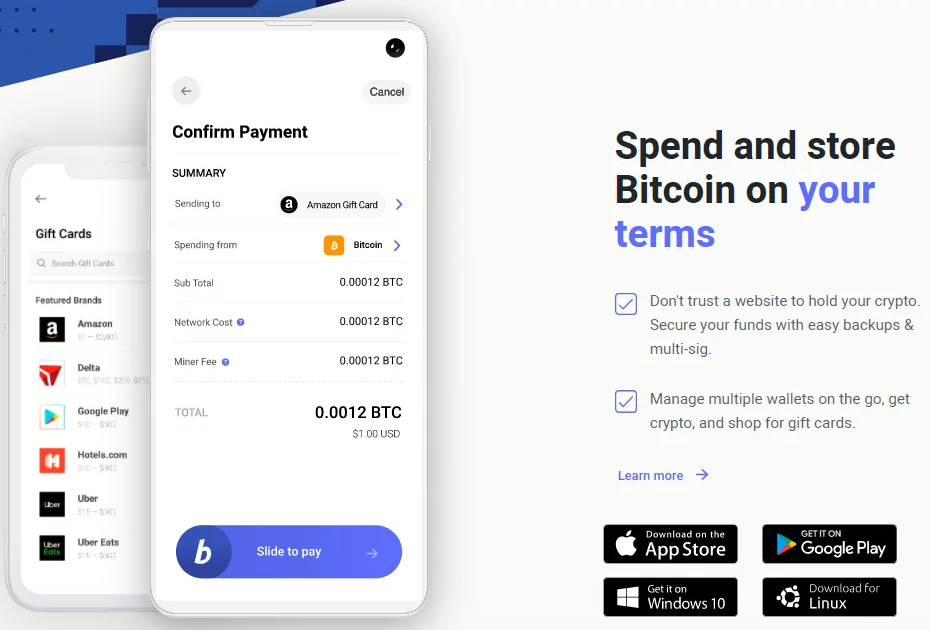 Sitio web de la billetera de criptomonedas BitPay